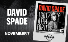DAVID SPADE